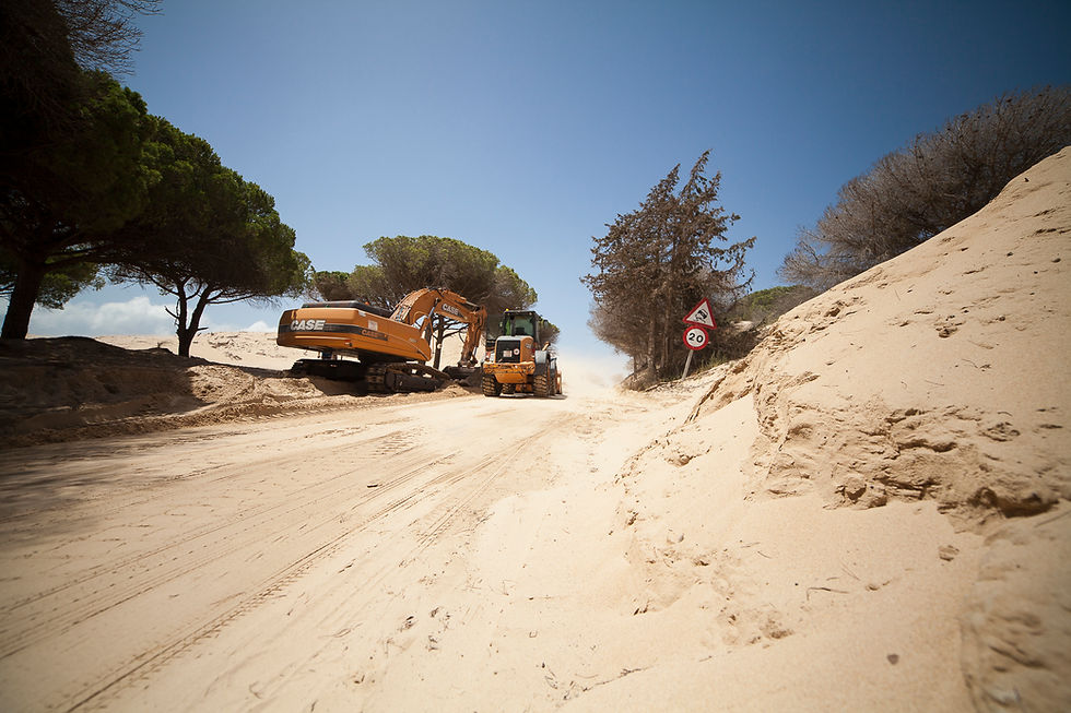 Viento de Levante, Punta Paloma