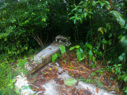 Parque Nacional de Corcovado. Descubre Sin Limites