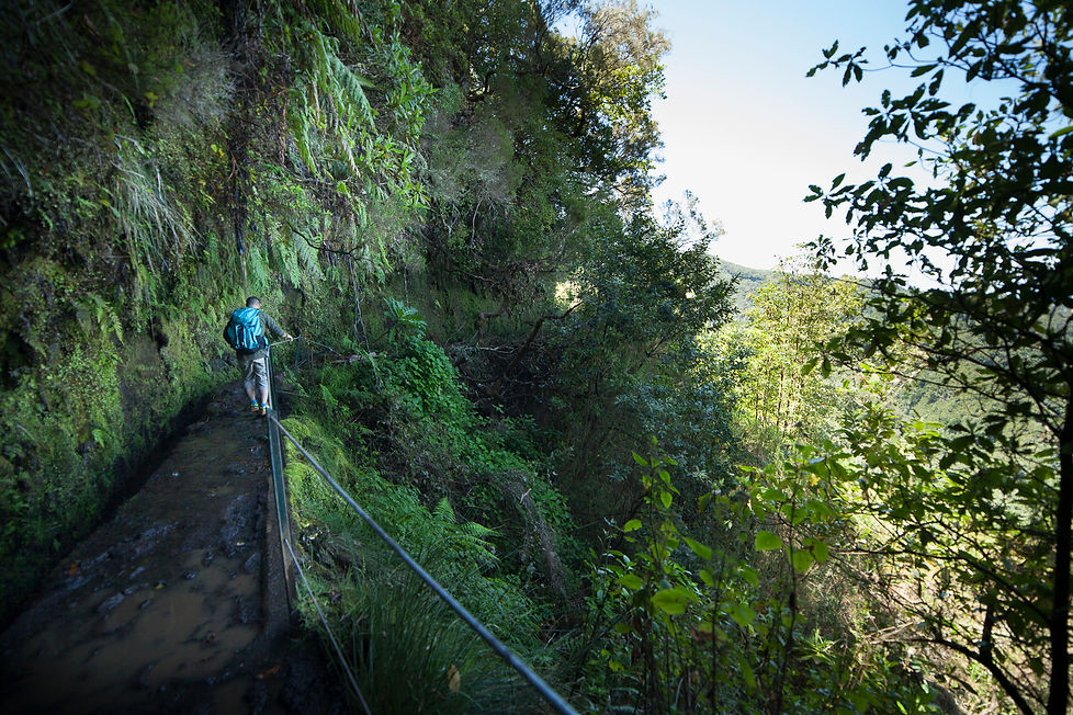 Levada Queimadas, Madeira