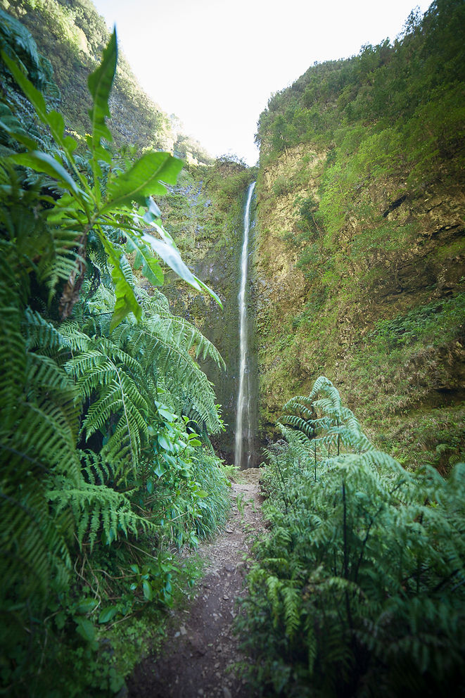 Levada Queimadas, Madeira