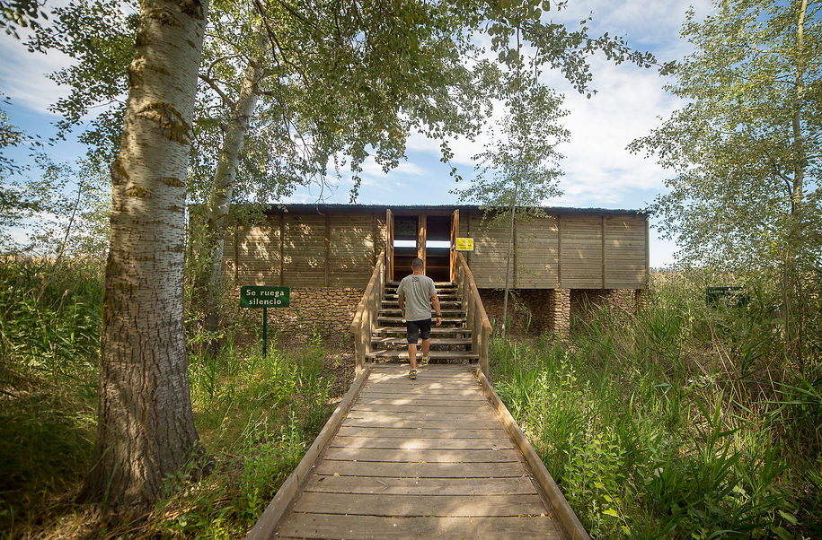 Tablas de Daimiel, Descubre Sin Limites