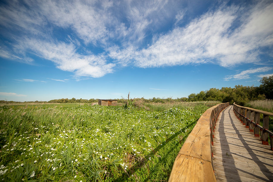 Tablas de Daimiel, Descubre Sin Limites