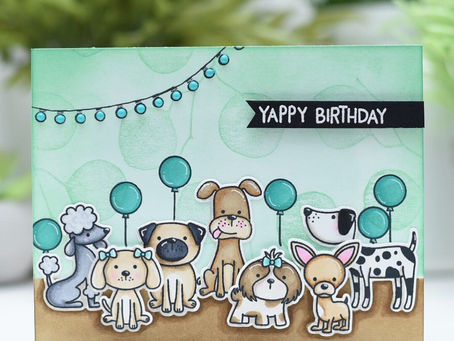Yappy Birthday!