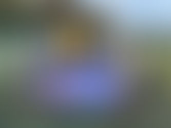 Essex County Schools FA Under-11s Girls’ 7-a-side Cup