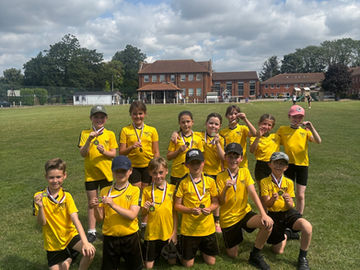 Year 4 Cricket and Rounders Competitions 