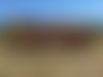 Borough Sports Champions!