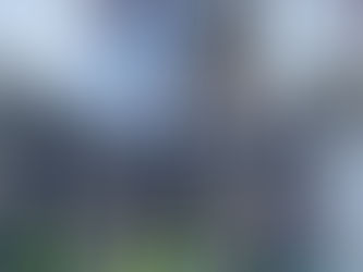 School Council visit the Houses of Parliament