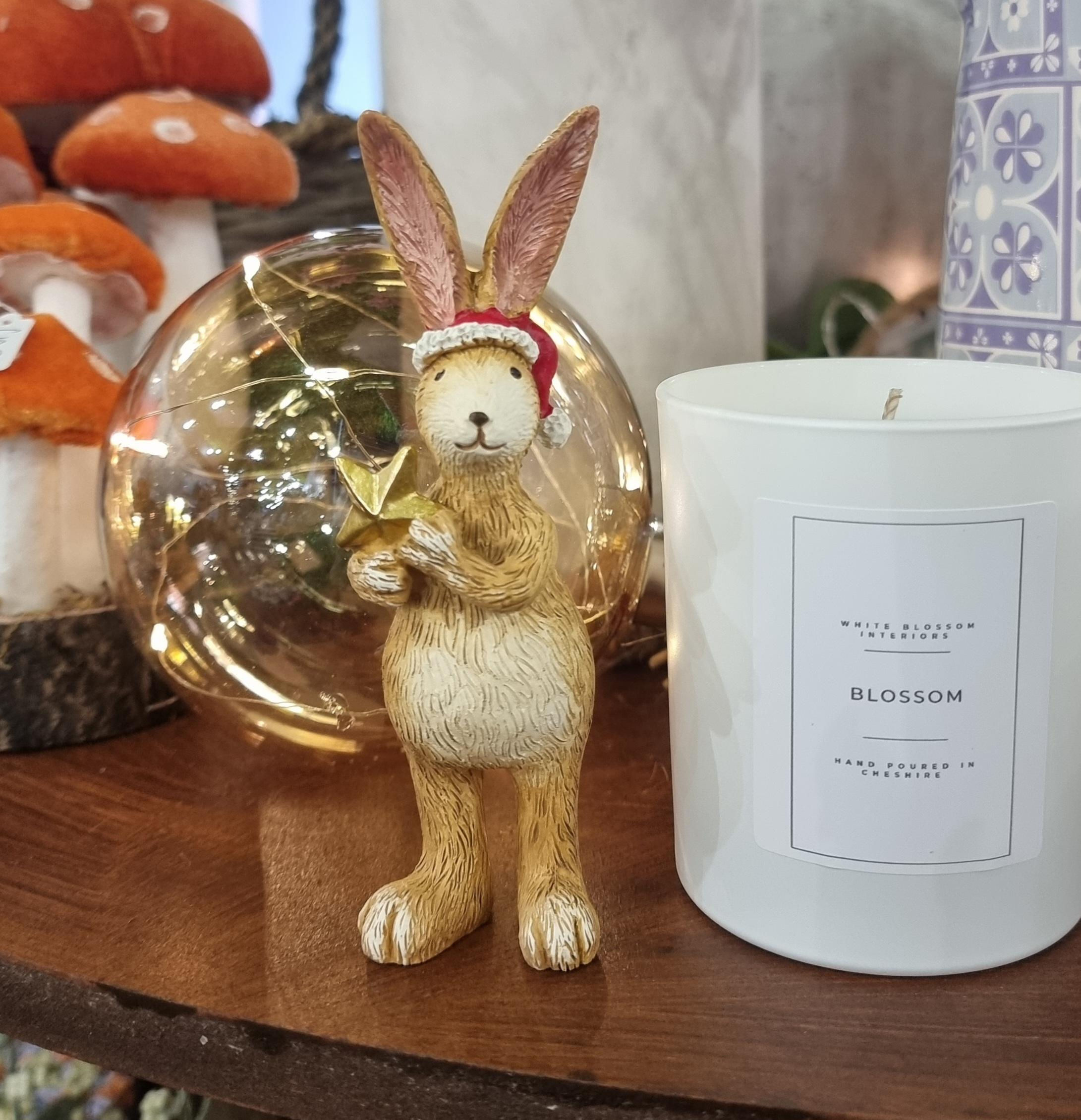 Christmas Star Bunny