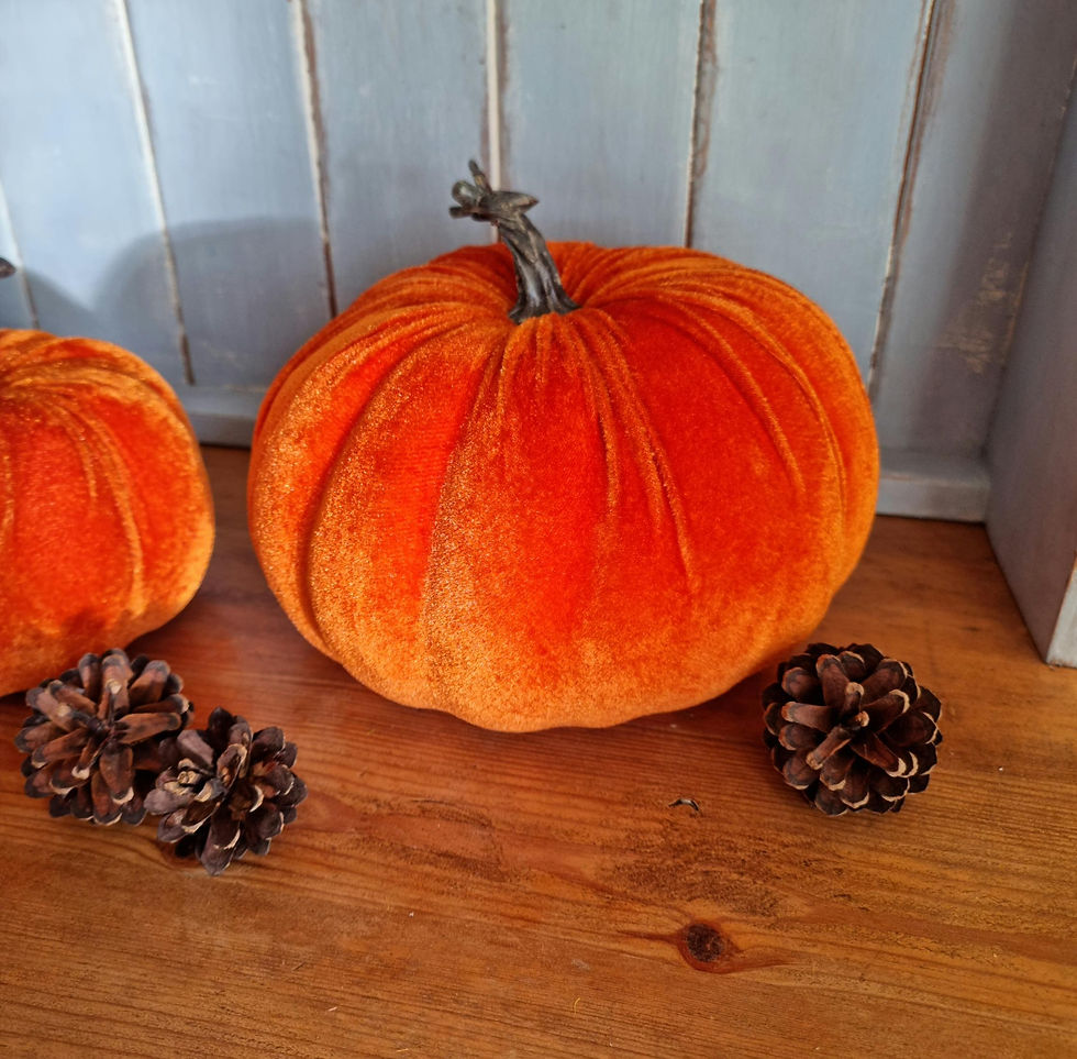 Thumbnail: Velvet Pumpkins