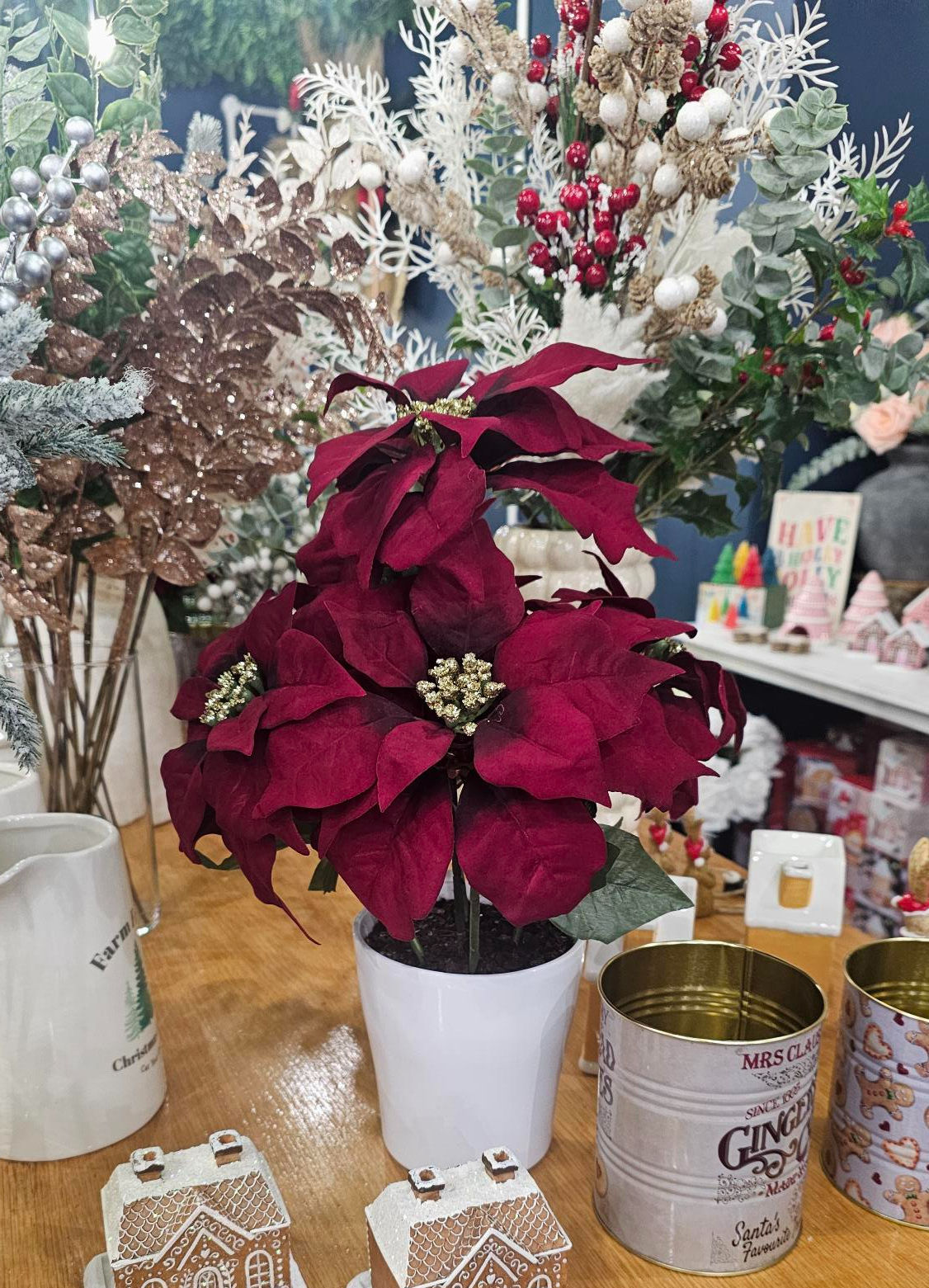 Red Poinsettia