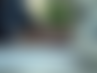 Hiring Professional German Translator Services: Your Guide to German Language Translation Services