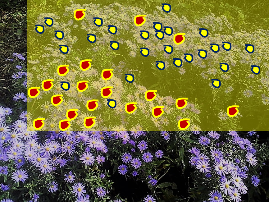 Regression & Statistics