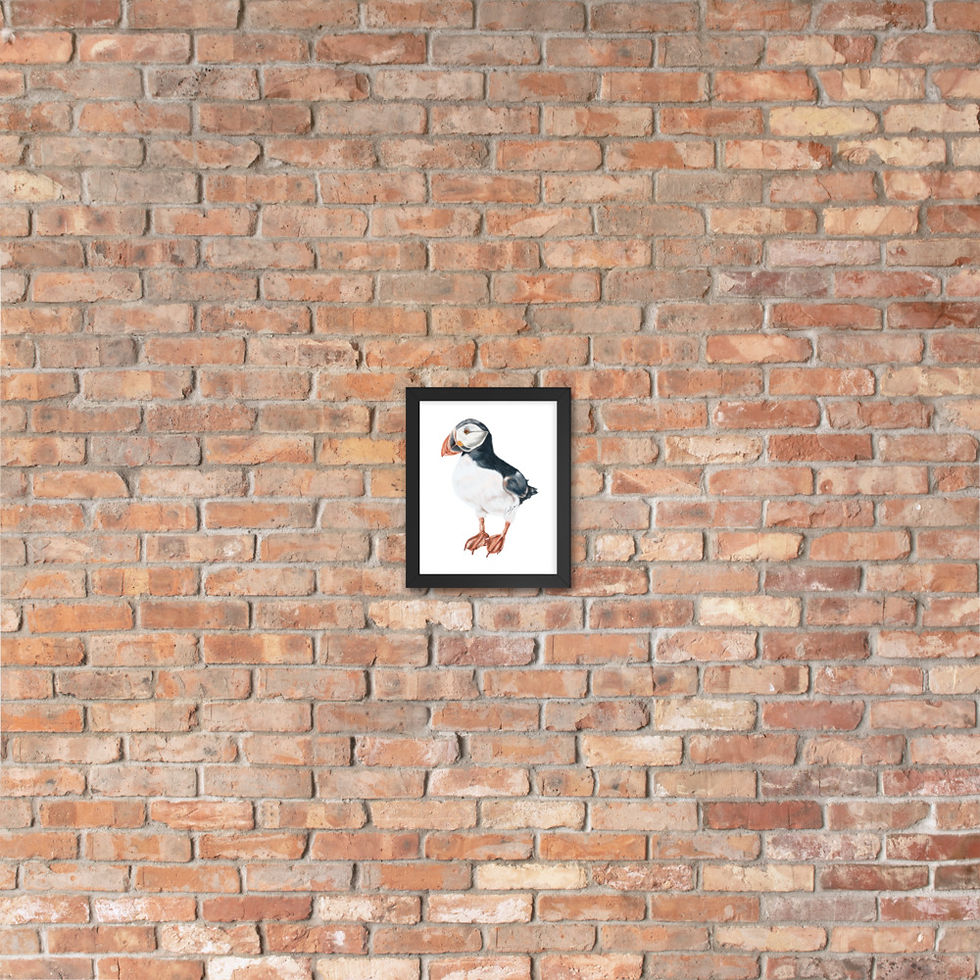 Thumbnail: Linamal Puffin Framed Poster