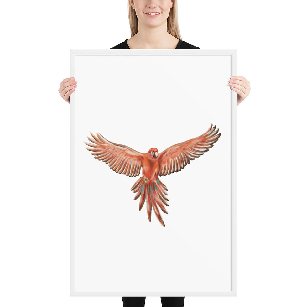Thumbnail: Linamal Red Macaw- Framed poster