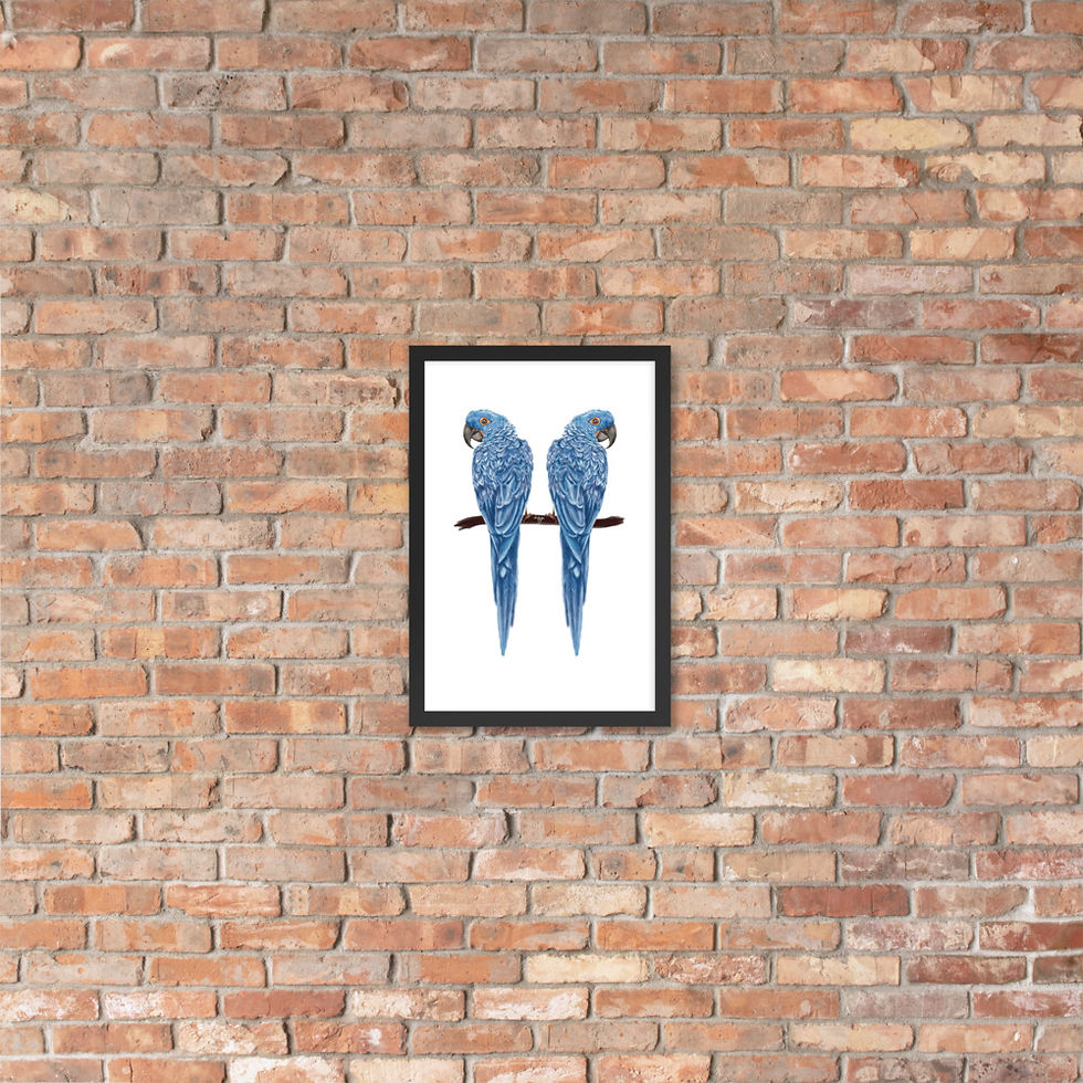 Thumbnail: Linamal Blue Macaw - Framed poster