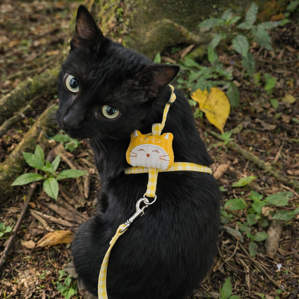 Coleira peitoral para gatos