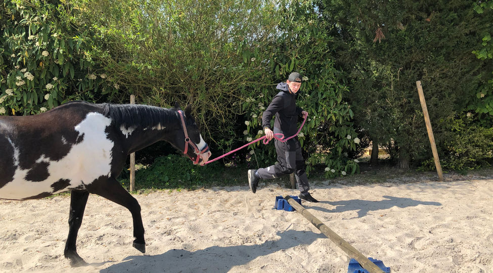 Equicoaching entreprises à Lille