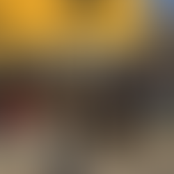 TRENTO - Visita aziendale Cantina Mezzacorona