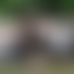 TRENTO - Grazie ai nostri volontari