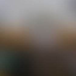 UPT TRENTO - 8 marzo