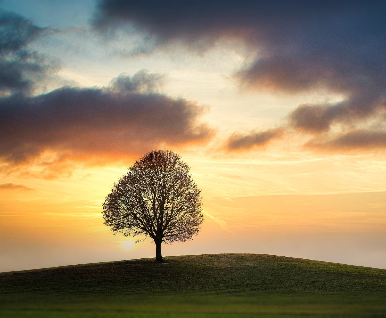 Writer: GraceUponGrace