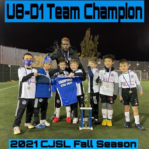 Youth Soccer Training Nyc 5 Star Soccer Academy New York