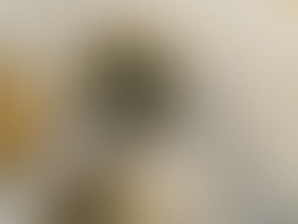 Controle crypto door de fiscus: Toename van vragen om inlichtingen nog vóór DAC8