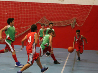 Los Minis P.A.