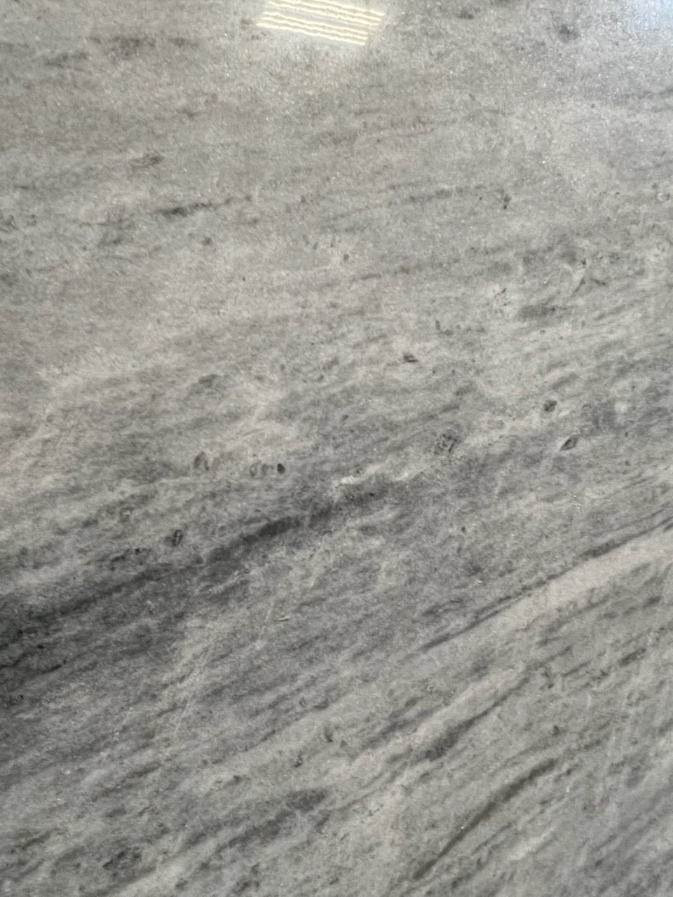 Fantasy White Close up