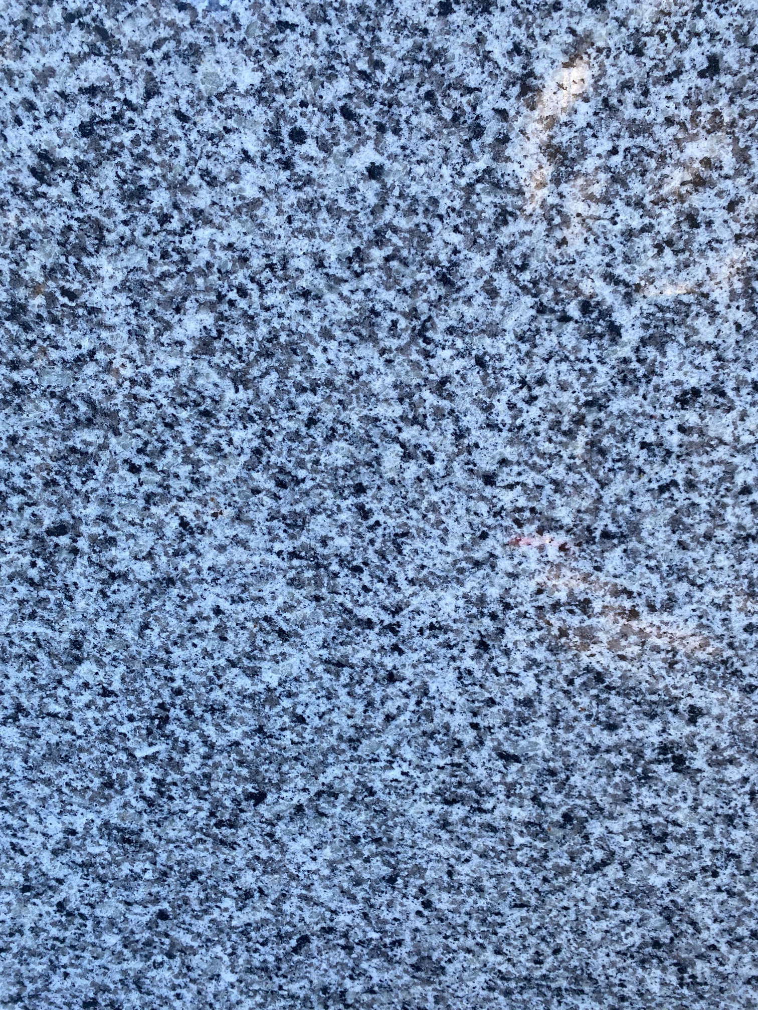 Luna Pearl / Vale Nevado