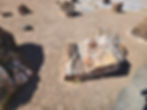 Petrified stump, Petrified Forest NP
