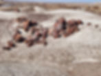 Remnants of a bygone time, Petrified Forest NP