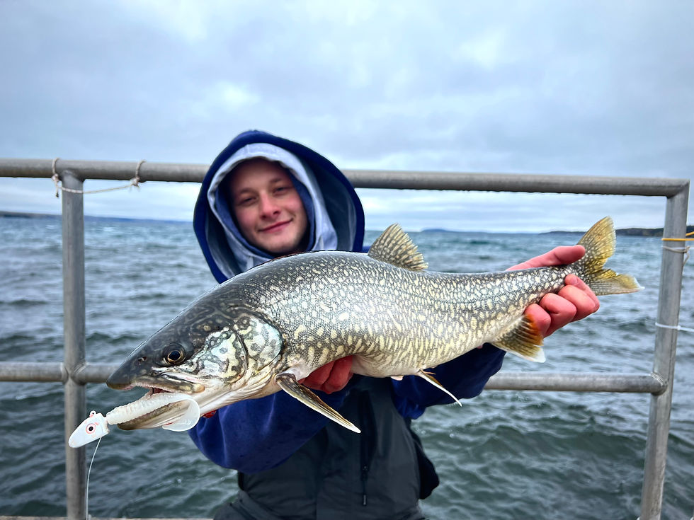 Thumbnail: Glow Pearl (3 Pack)