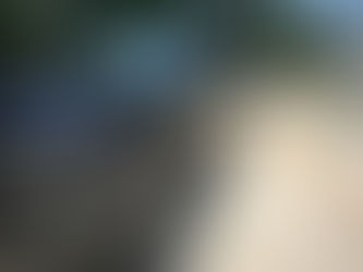 Top Mobile Car Detailing in Colonial Heights, VA