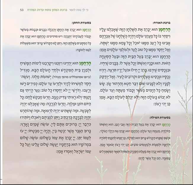על הכל 2.PNG