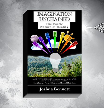 IU Poetic Story KICKSTARTER.png