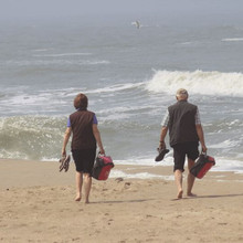 North_Sea_coast_beach.jpeg