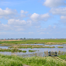 Waddenzee-and-Friesland_staff-Sandra_nature-reserve_it-fryske-gea-scaled.jpeg