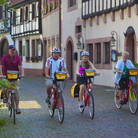 eb-rein-radweg-strassburg-mainz-deideshe
