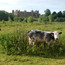 eb_framlingham-castle-from-the-mere.jpeg