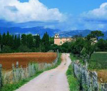 mallorca_sancellas_0701439a_r.jpeg