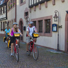 eb-rein-radweg-strassburg-mainz-deideshe