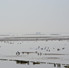 Waddenzee-and-Friesland_staff-Sandra_Terschelling_mudflat-scaled.jpeg