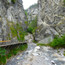 DSC02451.JPG