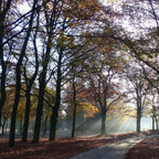 Amsterdam_Koblenz_Veluwe_01.jpg
