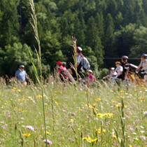 eb_smaragd_landschaft2.jpeg