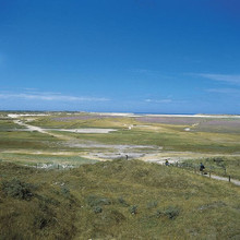 Texel_dunes.jpeg