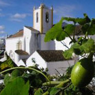 tavira5_r.jpeg