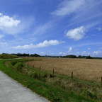 Texel_country_side.jpeg