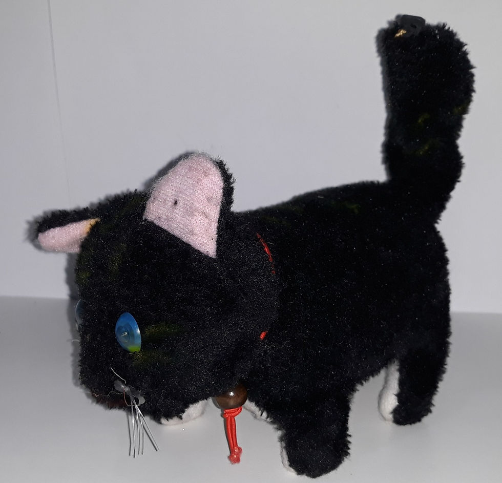Miniatura: Gatinho que Mia